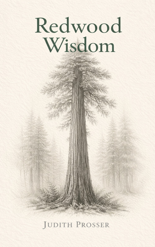 Redwood Wisdom by Judith Hurley Prosser, 9781966346852
