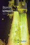 Boron (In Search of the Real Fifth Element) by Stephen M Mansell, 9781837679997