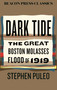 Dark Tide (The Great Boston Molasses Flood of 1919) by Stephen Puleo, 9780807026380