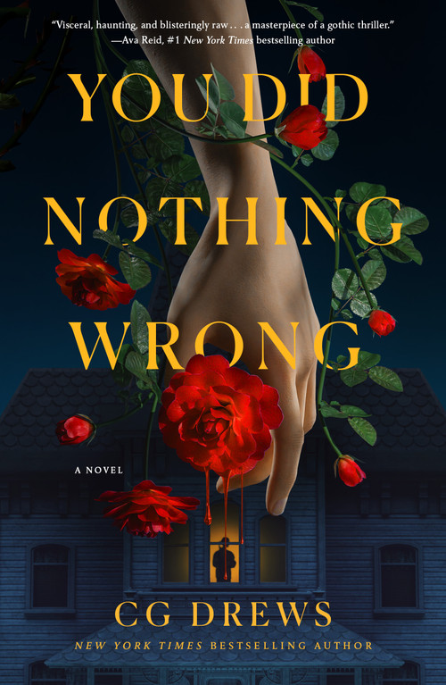 You Did Nothing Wrong (A Novel) by CG Drews, 9781250370013