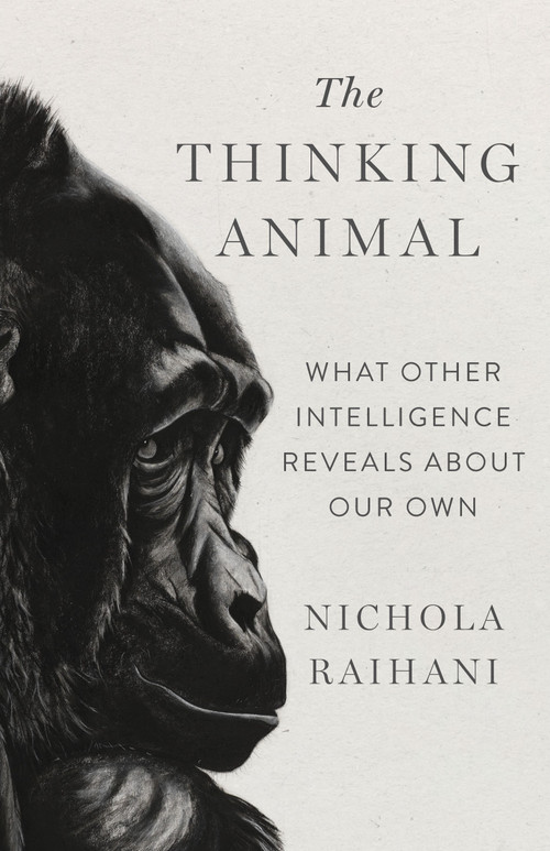 The Thinking Animal (What Other Intelligence Reveals About Our Own) by Nichola Raihani, 9781250346506