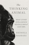 The Thinking Animal (What Other Intelligence Reveals About Our Own) by Nichola Raihani, 9781250346506