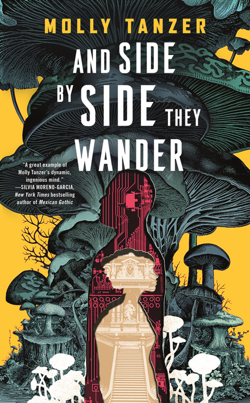 And Side by Side They Wander by Molly Tanzer, 9781250456243