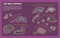 Backpack Explorer Stickers: Night Adventure (300+ Stickers Including Glow-in-the-Dark Stars and Planets) by Editors of Storey Publishing, 9798897080601