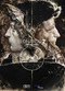 Leonardo 2 by Stephane Levallois, 9781681122649