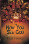 Now You Sea God (A Josh Katzen Collection (ebook)) by T. Lee Harris, 9781945447723