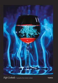 High Cocktails (Psychoactive Non-Alcoholic Cocktails) by Noah Tucker, Anthony Joseph, Jules Marshall, Floris Leeuwenberg, 9789089898838