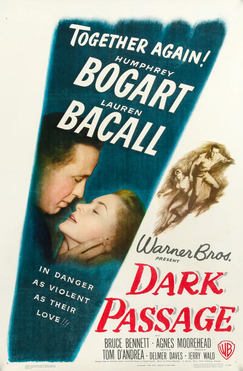 Dark Passage by David Goodis, 9781598538649
