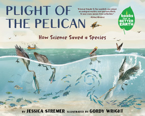 Plight of the Pelican (How Science Saved a Species) by Jessica Stremer, Gordy Wright, 9780823464517