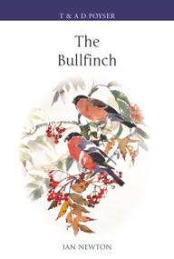The Bullfinch by Ian Newton, 9781399421980