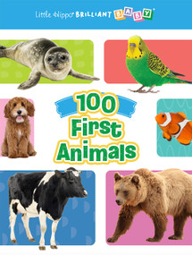 100 First Animals by Little Hippo Books, Kayla King, 9781968834005