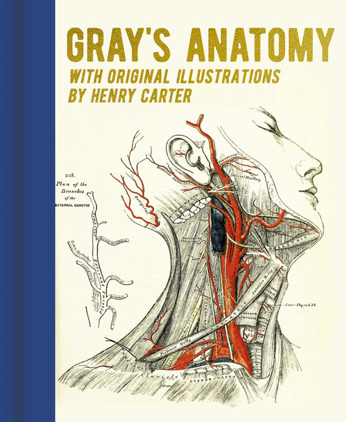 Gray's Anatomy (With Original Illustrations by Henry Carter) by Henry Gray, Henry Carter, George Davidson, 9781398820586