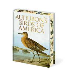 Audubon's Birds of America by John James Audubon, 9781398859197