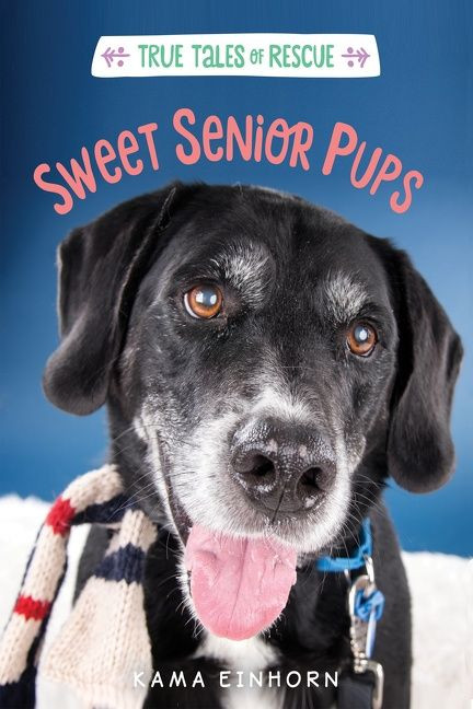 Sweet Senior Pups by Kama Einhorn, 9781328767035