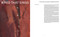 A Red that Sings (Masterpieces from Ensor, Wouters and Schmalzigaug) by Adriaan Gonnissen, 9789493416987