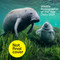 Wildlife Photographer of the Year Diary 2027 by Natural History Museum, 9780565095901