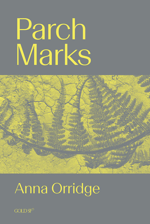 Parch Marks by Anna Orridge, 9781915983572