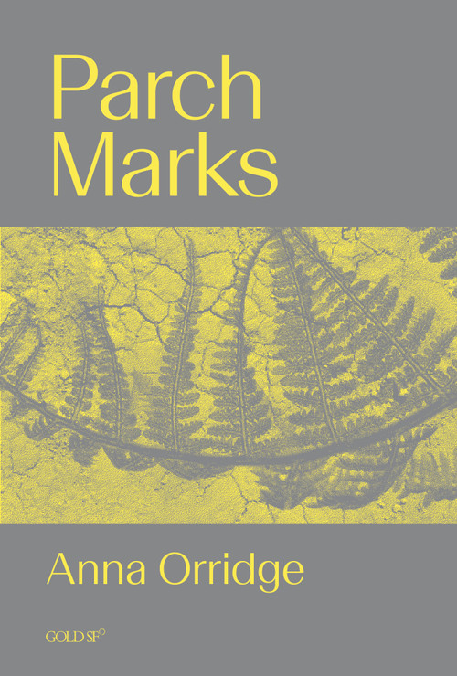 Parch Marks by Anna Orridge, 9781915983572