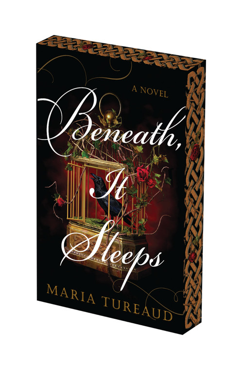 Beneath, It Sleeps: Deluxe Stenciled Edges by Maria Tureaud, 9781496755445