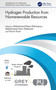 Hydrogen Production from Nonrenewable Resources by Mohammad Reza Rahimpour, Mohammad Amin Makarem, Parvin Kiani, 9781032465593