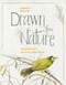 Drawn from Nature (Inspiration from an Artist's Sketchbook) by Christy Obalek, 9781772035902