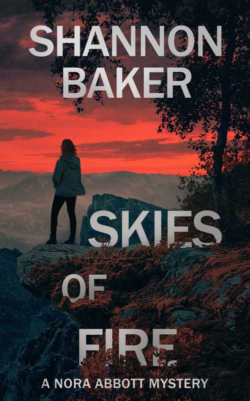 Skies of Fire by Shannon Baker, 9781648755033