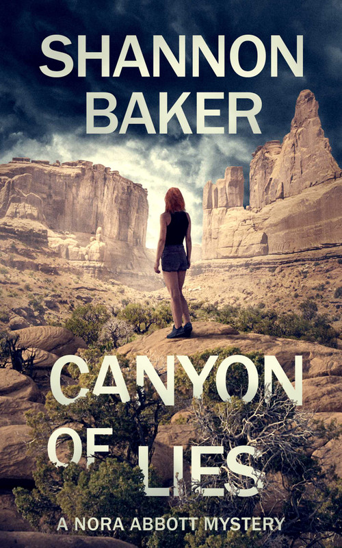 Canyon of Lies by Shannon Baker, 9781648755040