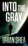 Into the Gray by Brian Shea, 9781648756016
