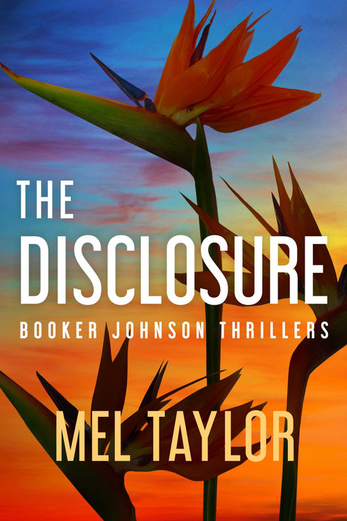 The Disclosure by Mel Taylor, Brian Shea, 9781648756344