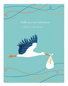 Positively Green Greeting Cards: Baby - Hello to a new adventure (Pack of 6) by COMPENDIUM, 9798217465187