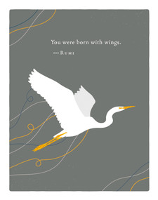Positively Green Greeting Cards: Graduation - You were born with wings (Pack of 6) by COMPENDIUM, 9798217467235