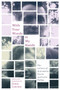 With Your Words in My Hands (The Letters of Antonietta Petris and Loris Palma) by Sonia Cancian, Antonietta Petris, Donna R. Gabaccia, 9780228005537