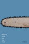 Ripping down half the trees by Evan J, 9780228005469