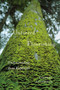 Unforced Flourishing (Understanding Jaan Kaplinski) by Thomas Salumets, 9780773543720