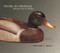 Peter M. Pringle, Master Decoy Maker by William C. Reeve, 9780773523487