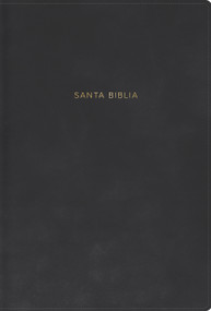 RVR 1960 Biblia letra grande, tamaño manual, gris, símil piel con índice (Spanish Edition) by B&H Español Editorial Staff, 9798384543022
