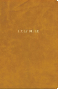 CSB Grace Bible, Camel LeatherTouch (Dyslexia Friendly) by 2K/DENMARK, CSB Bibles by Holman, 9798384557456