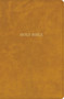 CSB Grace Bible, Camel LeatherTouch (Dyslexia Friendly) by 2K/DENMARK, CSB Bibles by Holman, 9798384557456