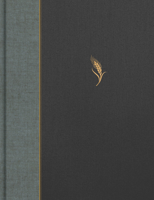 CSB Notetaking Bible, Expanded Reference Edition, Gray/Charcoal Cloth Over Board by CSB Bibles by Holman, 9798384557487