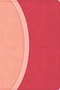 CSB Rainbow Study Bible, Pink LeatherTouch by CSB Bibles by Holman, 9798384557784