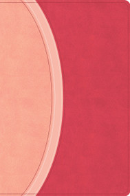 CSB Rainbow Study Bible, Pink LeatherTouch by CSB Bibles by Holman, 9798384557784