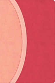 CSB Rainbow Study Bible, Pink LeatherTouch, Indexed by CSB Bibles by Holman, 9798384557791