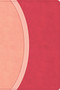 CSB Rainbow Study Bible, Pink LeatherTouch, Indexed by CSB Bibles by Holman, 9798384557791