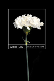 White Lily by John Emil Vincent, 9780228023777