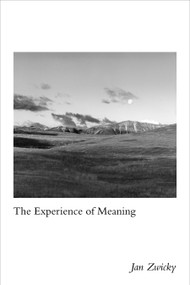 The Experience of Meaning by Jan Zwicky, 9780773557437