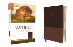 The Amplified Study Bible, Leathersoft, Brown by Zondervan, 9780310440802