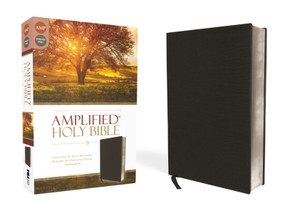 Amplified Holy Bible, Bonded Leather, Black (Captures the Full Meaning Behind the Original Greek and Hebrew) by Zondervan, 9780310443926