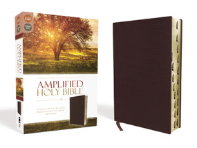 Amplified Holy Bible, Bonded Leather, Burgundy, Thumb Indexed (Captures the Full Meaning Behind the Original Greek and Hebrew) by Zondervan, 9780310443957