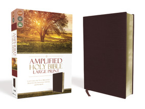 Amplified Holy Bible, Large Print, Bonded Leather, Burgundy (Captures the Full Meaning Behind the Original Greek and Hebrew) by Zondervan, 9780310444053