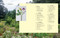 The Herbal Year (A Complete Guide to Making Medicine in Rhythm with the Seasons) by Juliette Abigail Carr, Juliet Blankespoor, 9781635869873